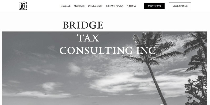 BRIDGE TAX CONSULTING